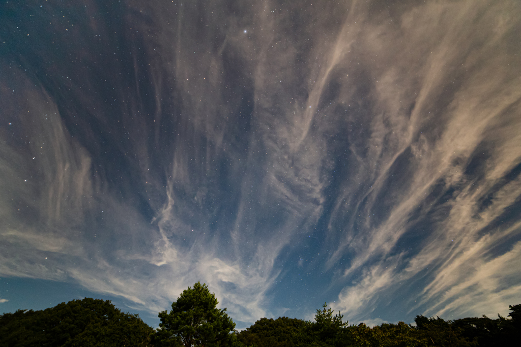 流星群の夜