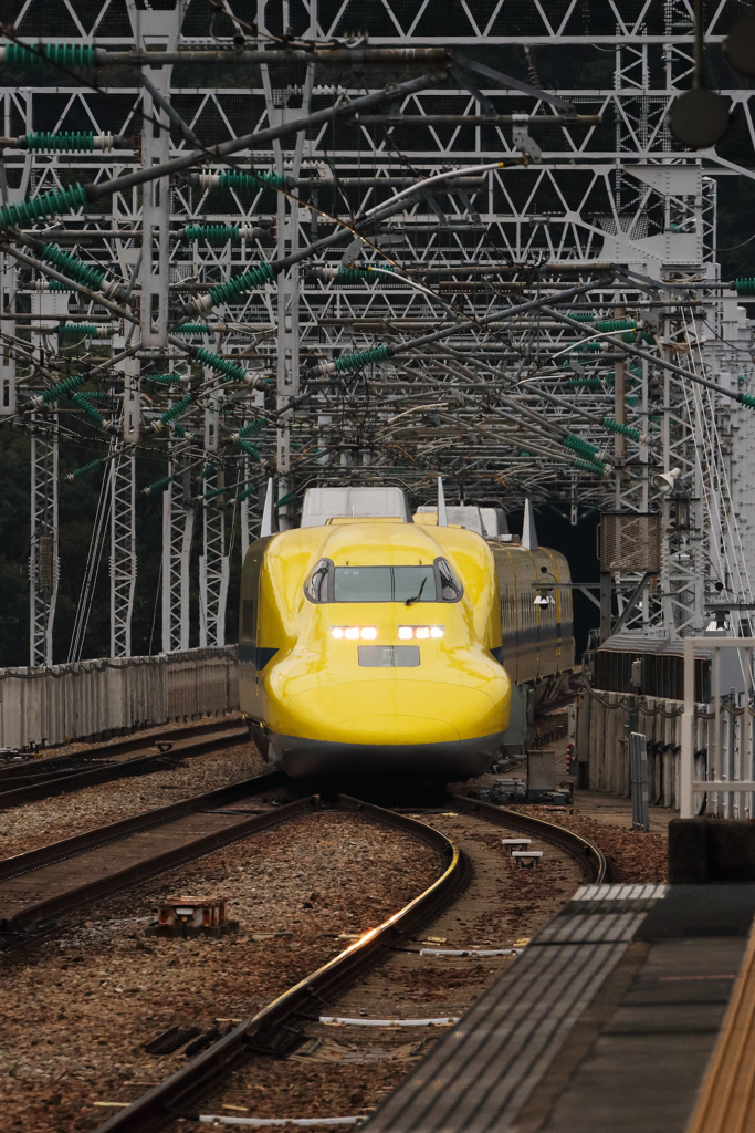Doctor Y 登場