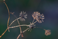 すぐ人に絡む奴