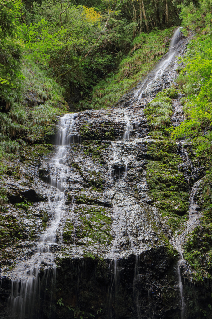 飛龍の滝 大滝 ①