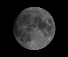 望遠鏡で撮り直してみましたが…