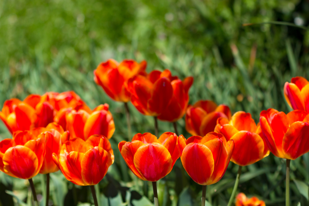 No.1にならなくてもいい