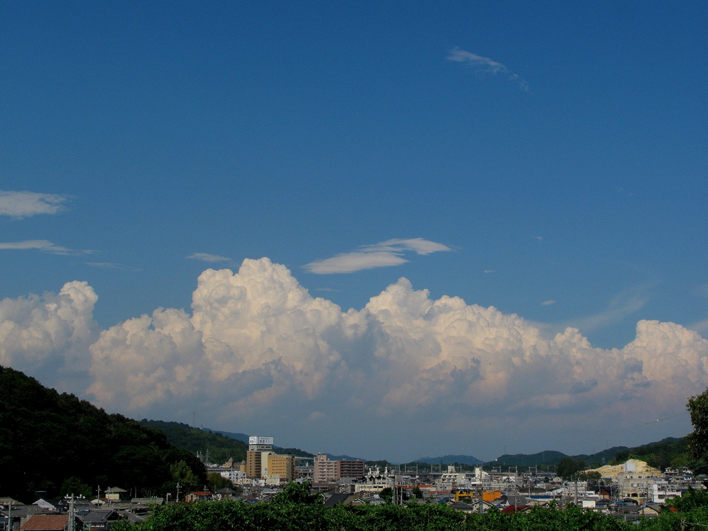 秋ですか？まだでしょう！