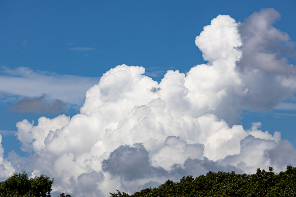 迫力の入道雲