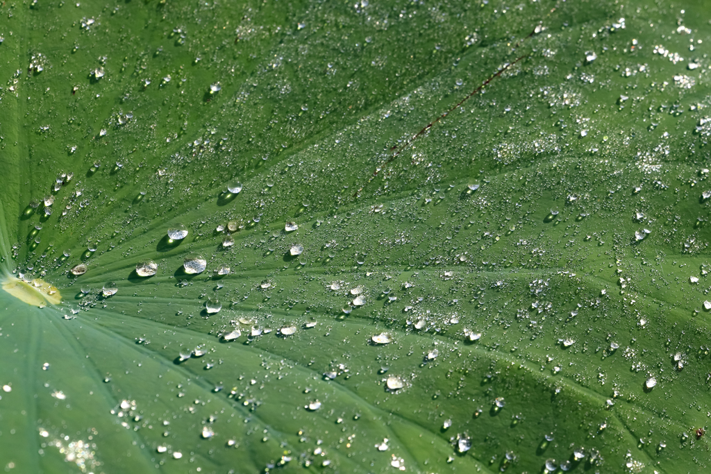 水晶玉が生まれるところ