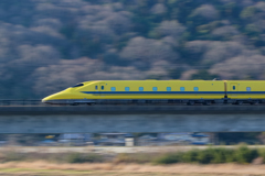 春の風に乗って…