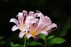 秋風を感じながら