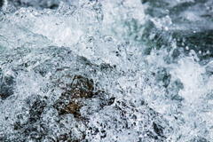 Splash 梅雨明けです！