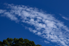 空は秋模様