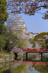 日本の名城 白鷺城 ①