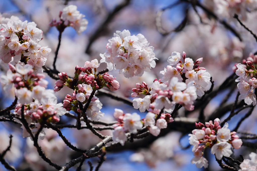 明るい気持ちに