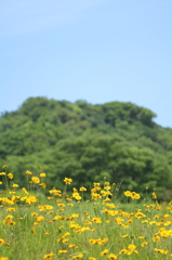 もうすぐ夏ですねぇ♪