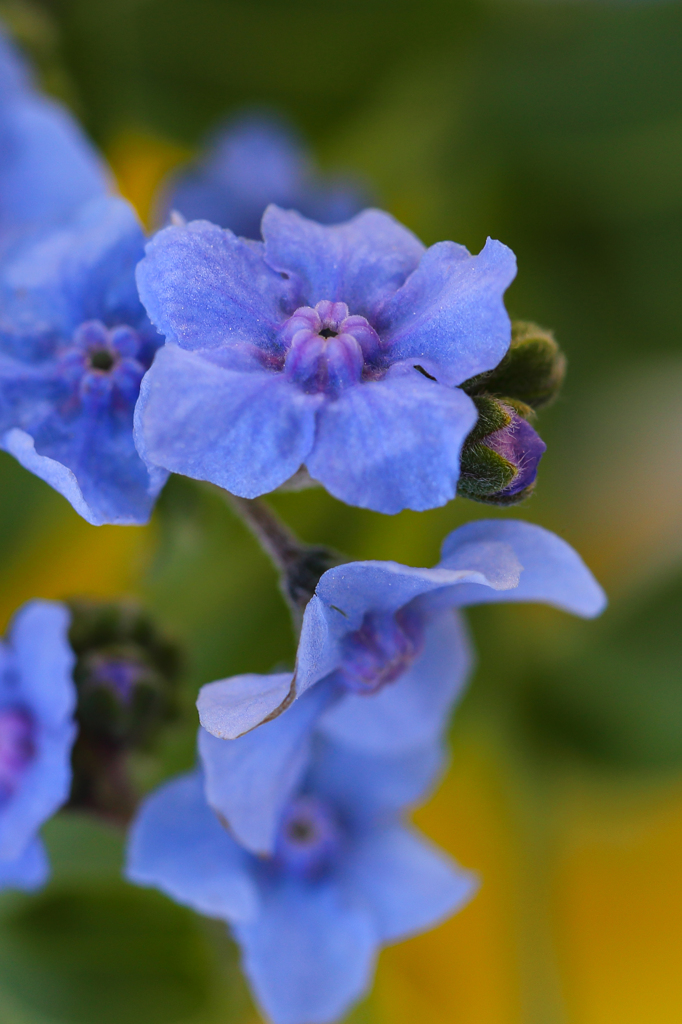 アンタ そこに愛はあるんか