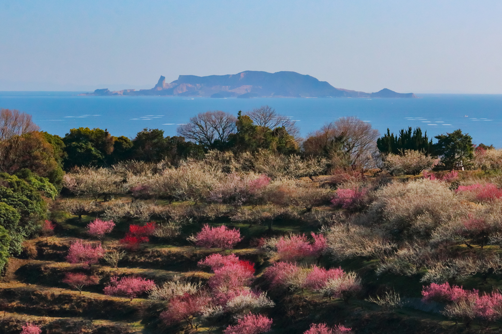 梅林より男鹿島を望む