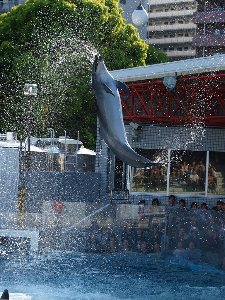 splash!