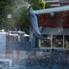 splash!