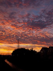 夕焼け。
