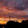 夕焼け。