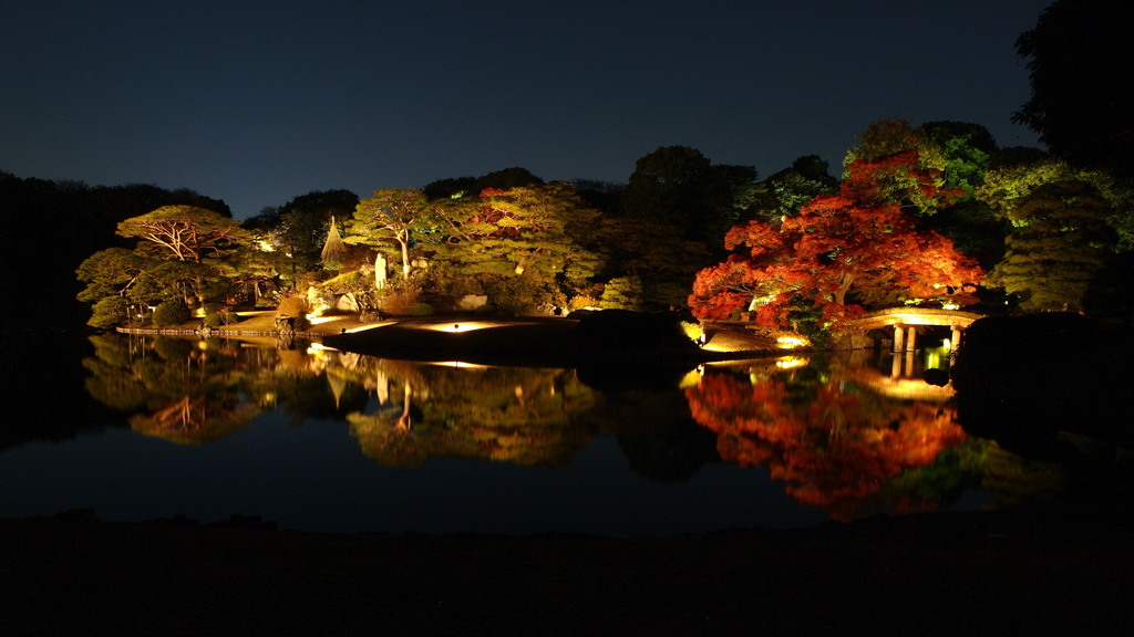夜の庭園。