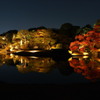 夜の庭園。