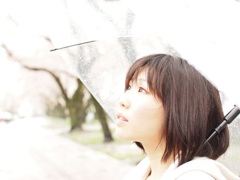 桜雨