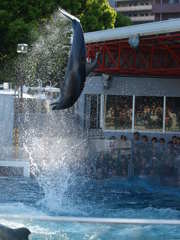 Jump!!