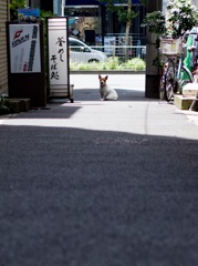 ご主人様を待ってます。