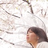 桜雨
