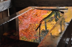 水鏡