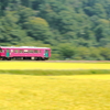 五穀豊穣の中で・・・。