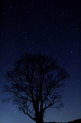 眠れぬ夜は星を数えて