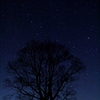 眠れぬ夜は星を数えて