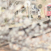 旅立ち