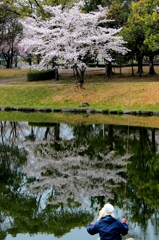 桜でも釣るか！