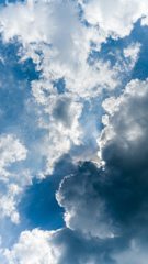 夏雲