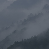 霧の山