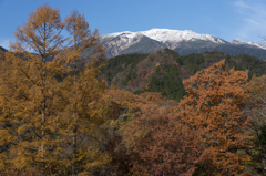 御岳冠雪