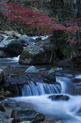 晩秋の渓①