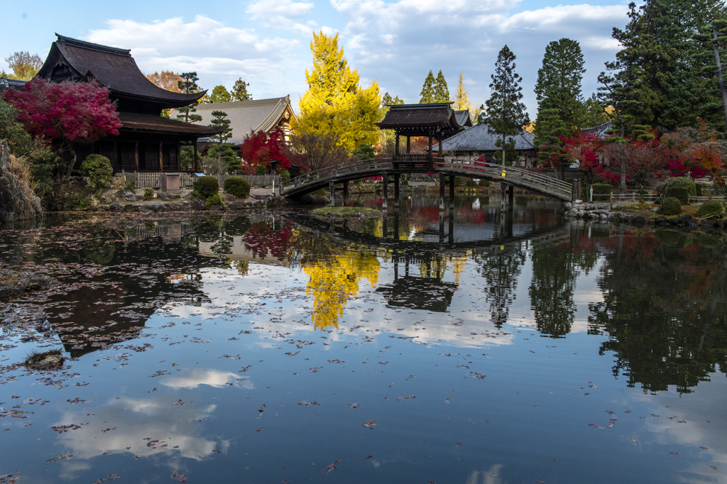 永保寺臥龍池