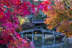 無際橋