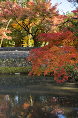 寺の紅葉