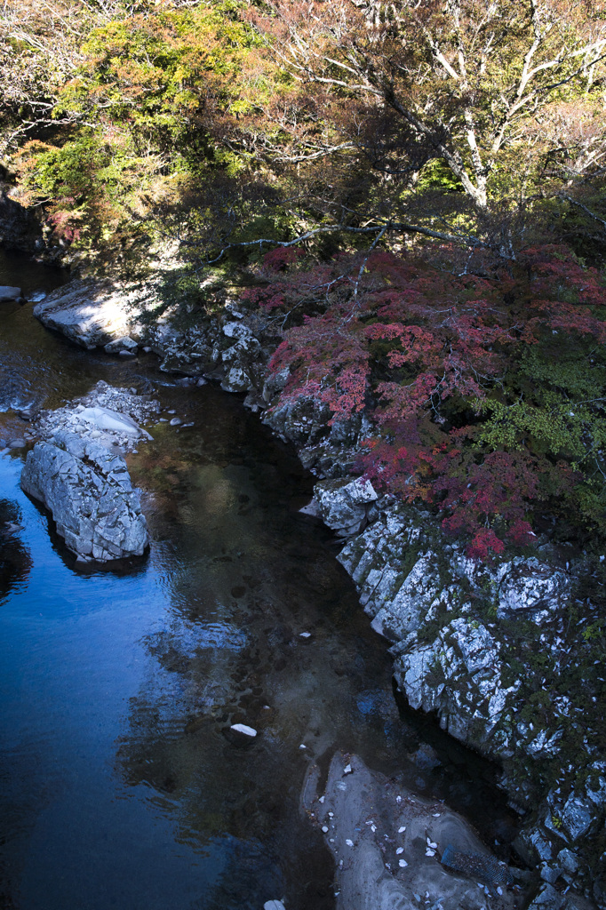 渓谷の紅葉