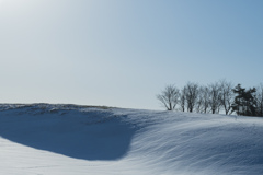 雪原の朝