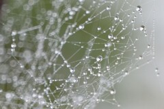 雨を切り取ってみた