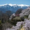 中央アルプス with 桜  