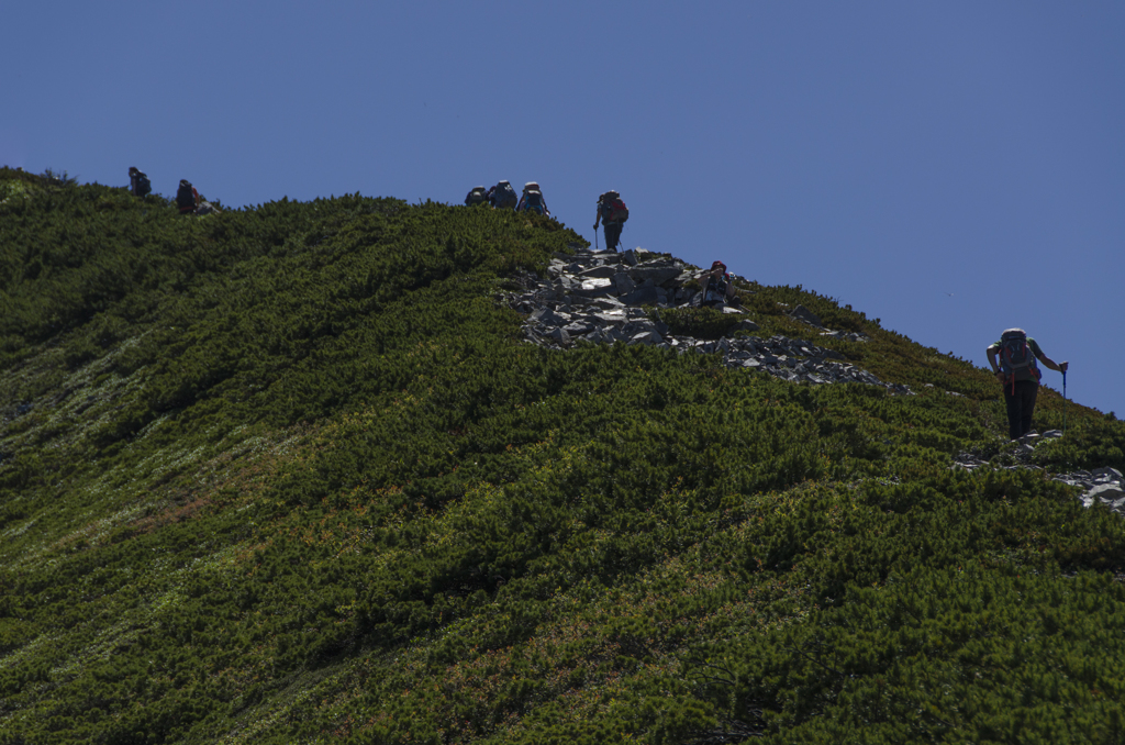 山頂目指して