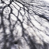 shadow