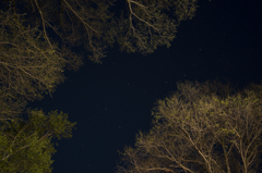 見上げてごらん，夜の星を