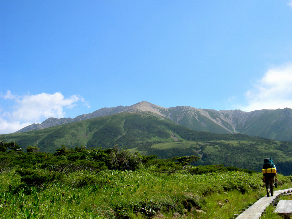 山へ