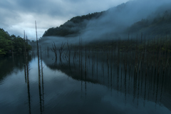 自然湖の朝